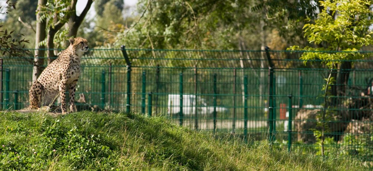 Ploty a oplocení Ploty a oplocení